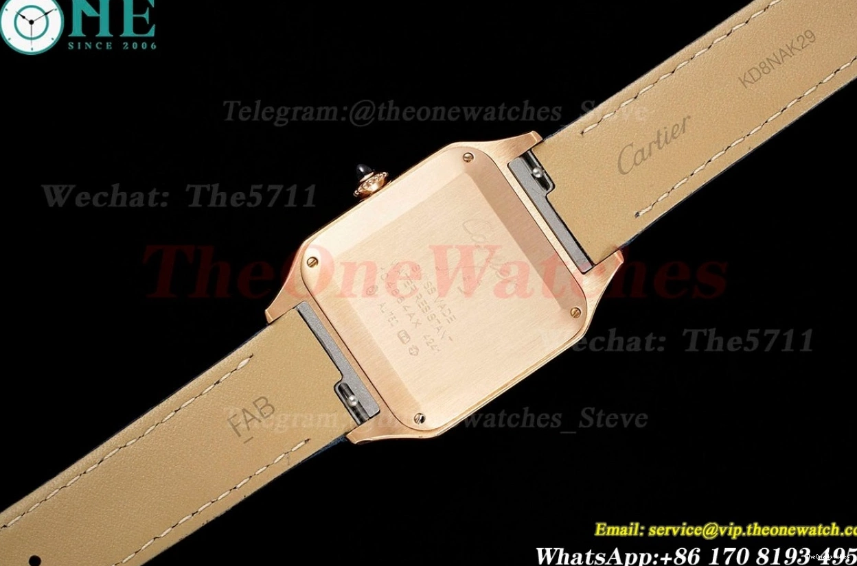 RG Santos Dumont LE Blue Dia Dial AF Quartz Silver 0329